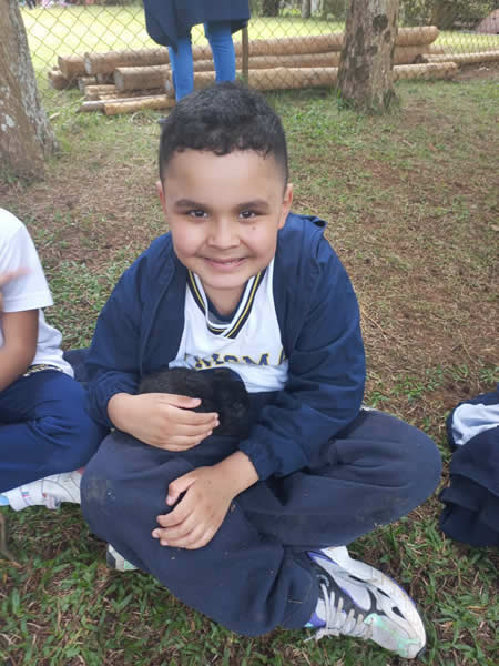Bicho Mania 2022